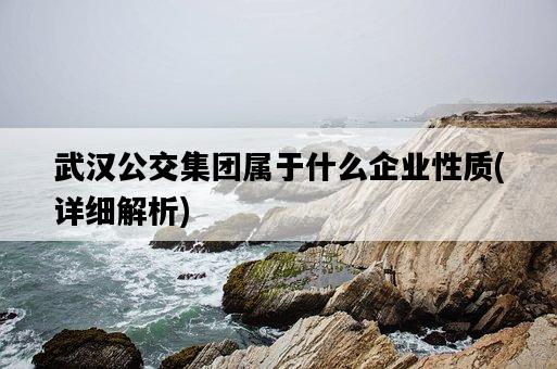 武漢公交集團屬于什么企業性質，詳細解析-圖1