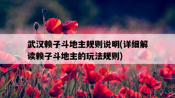武漢賴子斗地主規則說明，詳細解讀賴子斗地主的玩法規則-圖1