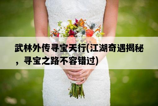 武林外傳尋寶天行，江湖奇遇揭秘，尋寶之路不容錯過-圖1