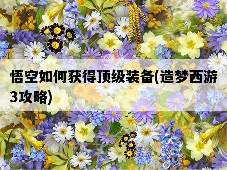 悟空如何獲得頂級裝備，造夢西游3攻略-圖1