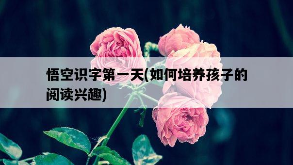 悟空識字第一天，如何培養孩子的閱讀興趣-圖1