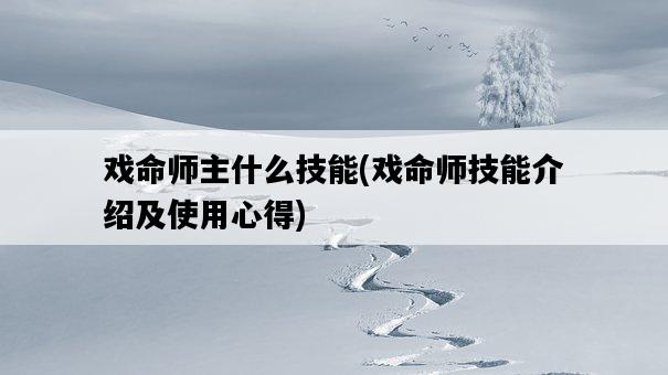 戲命師主什么技能，戲命師技能介紹及使用心得-圖1