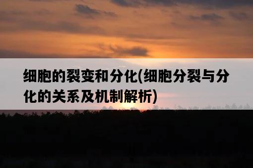 細胞的裂變和分化，細胞分裂與分化的關系及機制解析-圖1