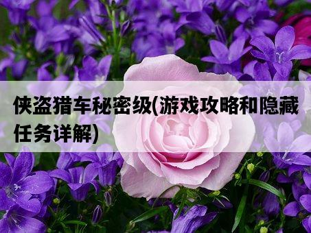 俠盜獵車秘密級，游戲攻略和隱藏任務詳解-圖1