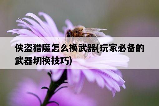 俠盜獵魔怎么換武器，玩家必備的武器切換技巧-圖1