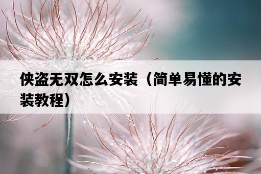 俠盜無雙怎么安裝（簡單易懂的安裝教程）-圖1