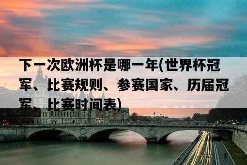 下一次歐洲杯是哪一年，世界杯冠軍、比賽規則、參賽國家、歷屆冠軍、比賽時間表-圖1