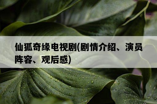 仙狐奇緣電視劇，劇情介紹、演員陣容、觀后感-圖1