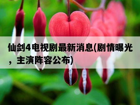 仙劍4電視劇最新消息，劇情曝光，主演陣容公布-圖1