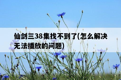 仙劍三38集找不到了，怎么解決無法播放的問題-圖1