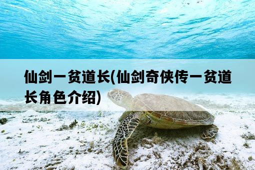 仙劍一貧道長，仙劍奇俠傳一貧道長角色介紹-圖1