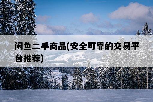 閑魚二手商品，安全可靠的交易平臺推薦-圖1