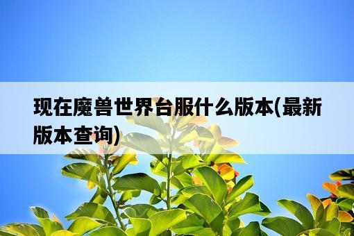 現在魔獸世界臺服什么版本，最新版本查詢-圖1