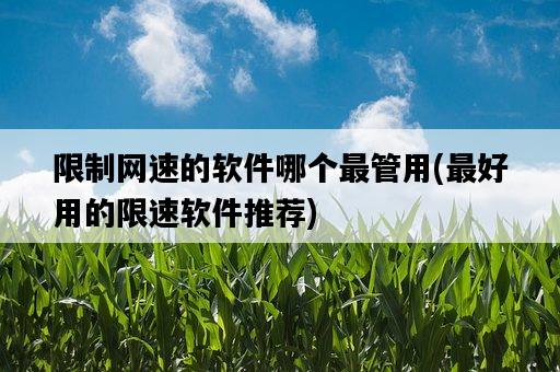 限制網速的軟件哪個最管用，最好用的限速軟件推薦-圖1