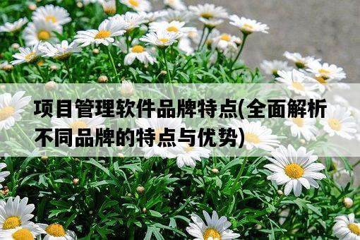 項目管理軟件品牌特點，全面解析不同品牌的特點與優勢-圖1