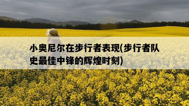 小奧尼爾在步行者表現，步行者隊史最佳中鋒的輝煌時刻-圖1