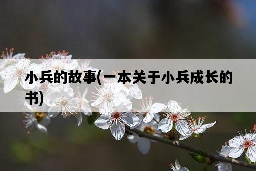 小兵的故事，一本關于小兵成長的書-圖1