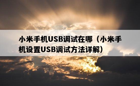 小米手機USB調試在哪（小米手機設置USB調試方法詳解）-圖1