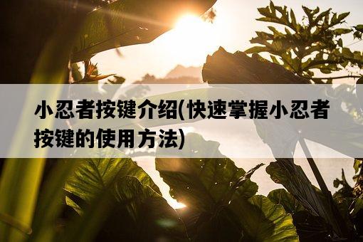 小忍者按鍵介紹，快速掌握小忍者按鍵的使用方法-圖1