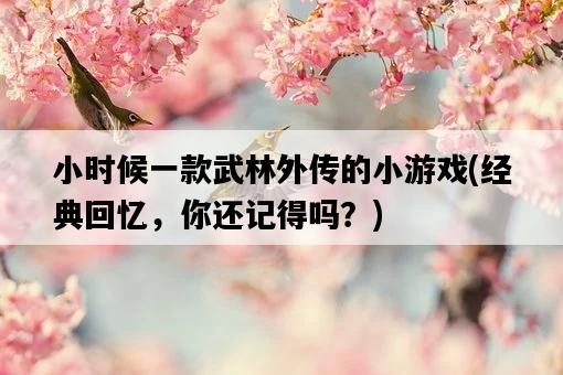 小時候一款武林外傳的小游戲，經典回憶，你還記得嗎？-圖1