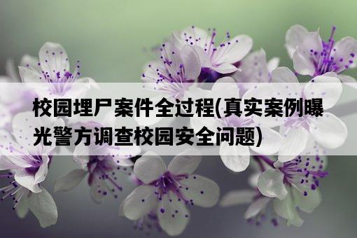 校園埋尸案件全過程，真實案例曝光警方調查校園安全問題-圖1