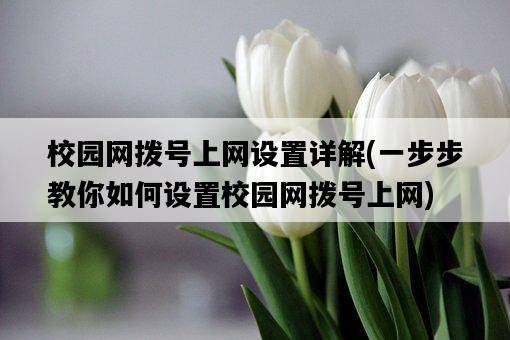 校園網撥號上網設置詳解，一步步教你如何設置校園網撥號上網-圖1