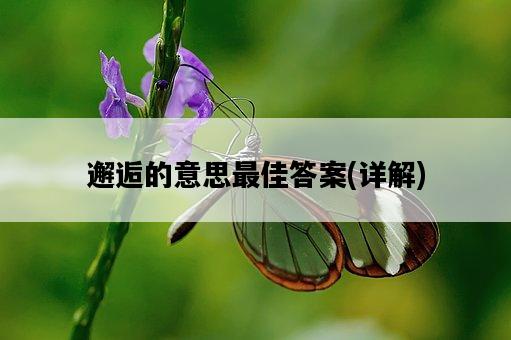 邂逅的意思最佳答案，詳解-圖1