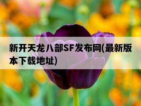 新開天龍八部SF發布網，最新版本下載地址-圖1