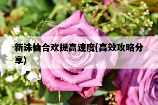 新誅仙合歡提高速度，高效攻略分享-圖1