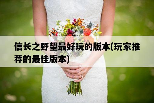 信長之野望最好玩的版本，玩家推薦的最佳版本-圖1