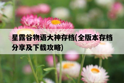 星露谷物語大神存檔，全版本存檔分享及下載攻略-圖1