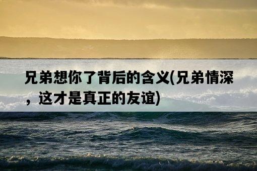 兄弟想你了背后的含義，兄弟情深，這才是真正的友誼-圖1