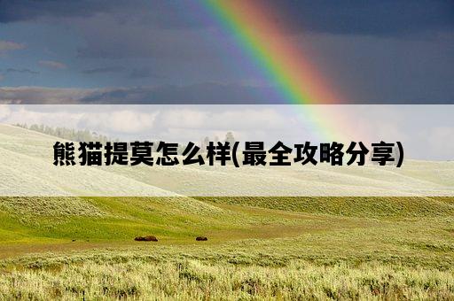 熊貓提莫怎么樣，最全攻略分享-圖1