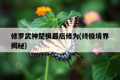 修羅武神楚楓最后修為，終極境界揭秘-圖1