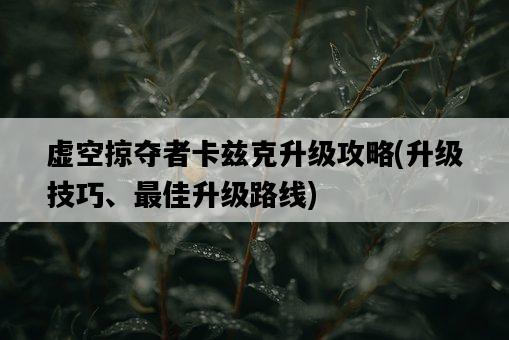 虛空掠奪者卡茲克升級攻略，升級技巧、最佳升級路線-圖1