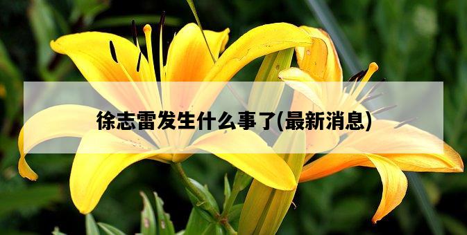 徐志雷發生什么事了，最新消息-圖1