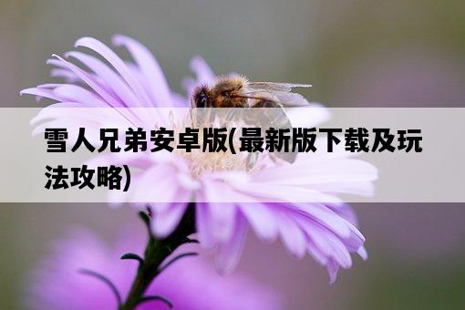 雪人兄弟安卓版，最新版下載及玩法攻略-圖1