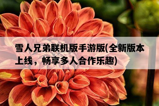 雪人兄弟聯機版手游版，全新版本上線，暢享多人合作樂趣-圖1