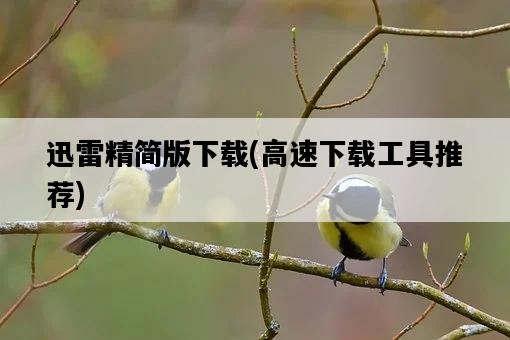 迅雷精簡版下載，高速下載工具推薦-圖1
