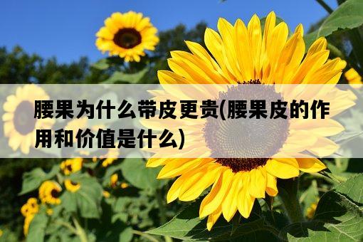 腰果為什么帶皮更貴，腰果皮的作用和價值是什么-圖1