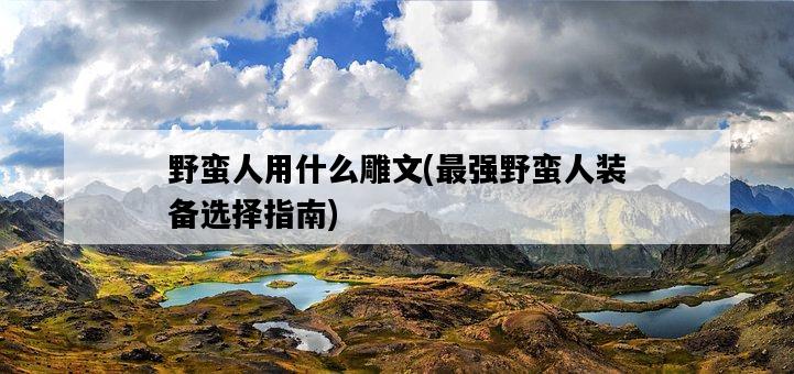 野蠻人用什么雕文，最強野蠻人裝備選擇指南-圖1