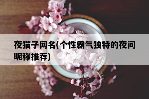 夜貓子網名，個性霸氣獨特的夜間昵稱推薦-圖1
