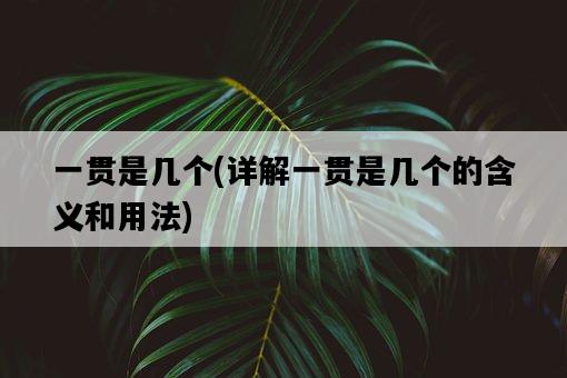 一貫是幾個，詳解一貫是幾個的含義和用法-圖1