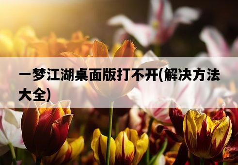 一夢江湖桌面版打不開，解決方法大全-圖1