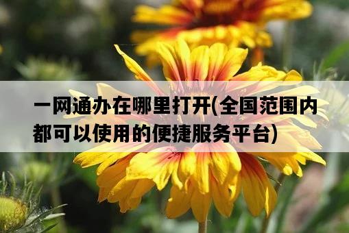 一網通辦在哪里打開，全國范圍內都可以使用的便捷服務平臺-圖1