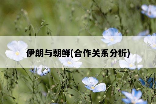 伊朗與朝鮮，合作關系分析-圖1