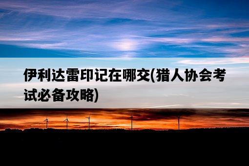 伊利達雷印記在哪交，獵人協會考試必備攻略-圖1