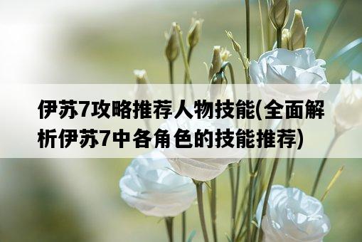 伊蘇7攻略推薦人物技能，全面解析伊蘇7中各角色的技能推薦-圖1