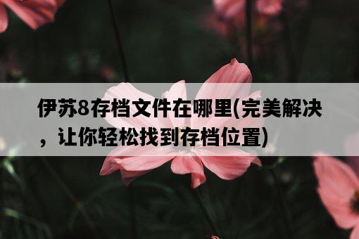 伊蘇8存檔文件在哪里，完美解決，讓你輕松找到存檔位置-圖1