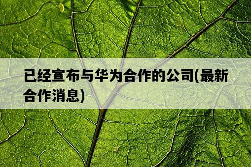 已經宣布與華為合作的公司，最新合作消息-圖1
